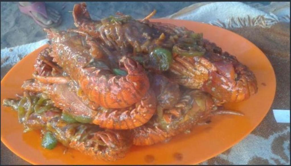 Penginapan Bayu Samudra Garut Eksteriør billede